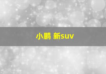 小鹏 新suv